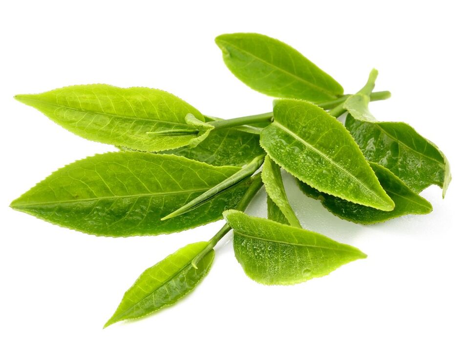 zeleni čaj u Keto Matcha